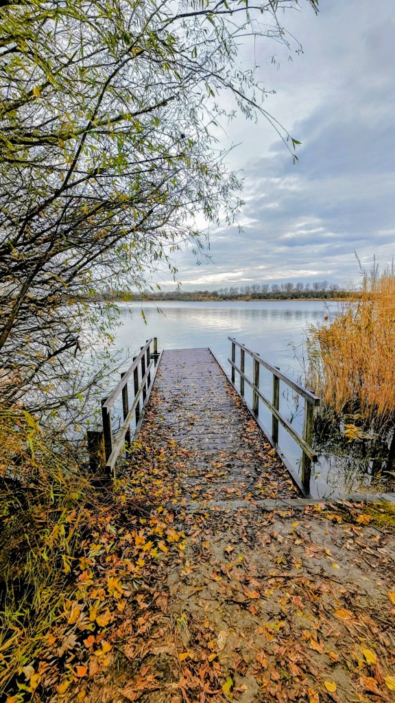 Aan het einde van de steiger begint de stilte. Daar stel ik mezelf de vraag: wat nu?